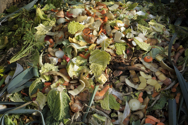Make Room for What Matters with Effective Hoarder Clean Up and Clutter Removal